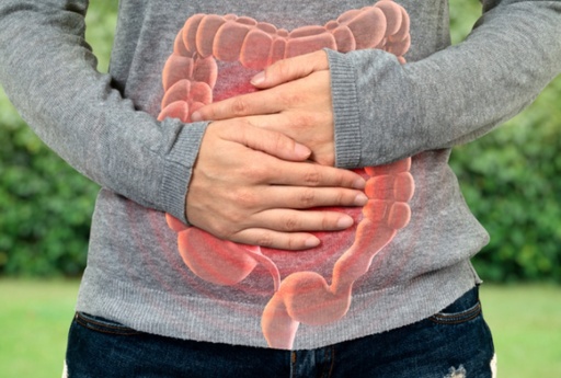 Web-Formation 122.2 Troubles gastro-intestinaux et SIBO, partie 1