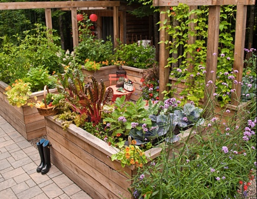 Web-formation 123.1C Jardinage Thérapeutique